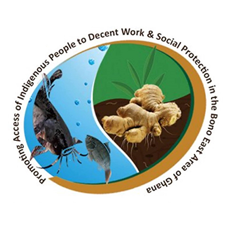 European Union Promoting Access of Indigenous People to Decent Work and Social Protection in the Bono East Area of Ghana - (PRODESOP) Project