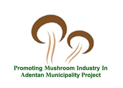 European Union Promoting Mushroom Industry in Adentan Municipality